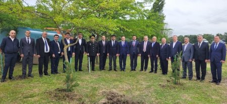 BDU və Masallı Rayon İcra Hakimiyyətinin təşkilatçılığı ilə ağacəkmə aksiyası keçirilib - FOTO