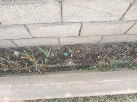 Sabirabadda DƏHŞƏT -Məktəbin yanı narkomaniya yuvasına çevrilib - FOTOLAR + VİDEO