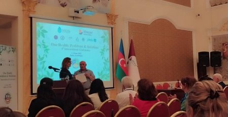 Fizika İnstitutunun əməkdaşları beynəlxalq konfransda iştirak ediblər - FOTO