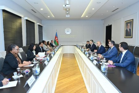 Elm və təhsil naziri Surinam Respublikasının təhsil, elm və mədəniyyət naziri ilə görüşüb - FOTO