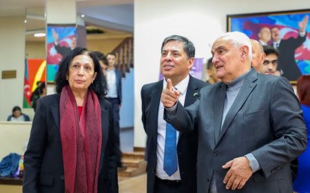 Braziliyalı diplomat ADU-nun "Səfir saatı" layihəsinin qonağı olub - FOTO