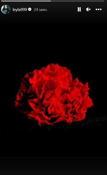 Leyla Əliyeva 20 Yanvar faciəsi ilə əlaqədar paylaşım edib - FOTO