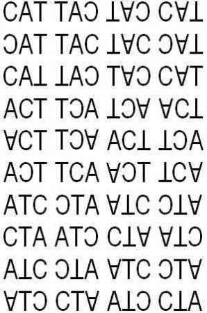 Disleksiya: Uşaqlarda oxuma və öyrənmə çətinliyi