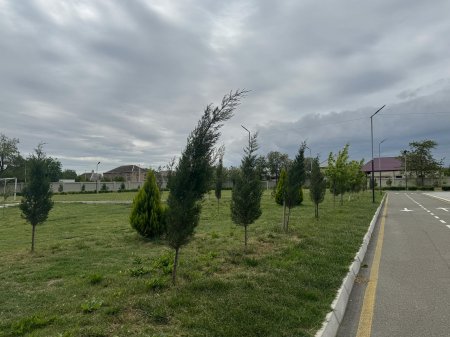 Goranboy rayon M.Zeynalov adına  Dəliməmmədli şəhər tam orta məktəb haqqında BÜTÜN HƏQİQƏTLƏR... FAKTLARLA!!!