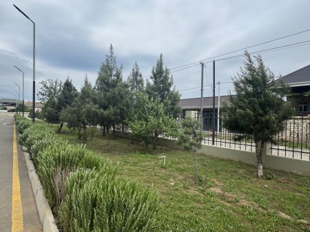 Goranboy rayon M.Zeynalov adına  Dəliməmmədli şəhər tam orta məktəb haqqında BÜTÜN HƏQİQƏTLƏR... FAKTLARLA!!!